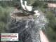 Aurach 14.06.2025 16:54