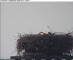 Gengenbach 30.04.2025 16:55