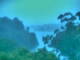 Linley Point 12.06.2025 16:54