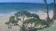 Paia, Hawaii 12.07.2025 16:05