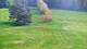 Gap 29.04.2025 16:56