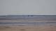 Andernos-les-Bains 29.04.2025 16:57