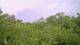 Metairie, Louisiana 14.06.2025 16:09