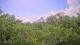 Metairie, Louisiana 30.04.2025 16:09