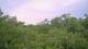 Metairie, Louisiana 11.07.2025 16:09