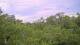 Metairie, Louisiana 02.07.2025 16:09