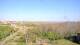 Juist 30.04.2025 16:58