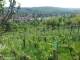 Feuerbach 30.04.2025 16:58