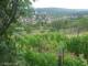 Feuerbach 11.07.2025 16:57