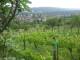 Feuerbach 08.06.2025 16:58
