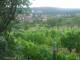 Feuerbach 12.06.2025 16:58