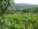 Feuerbach 14.06.2025 16:58
