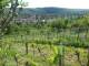 Feuerbach 10.05.2025 16:58