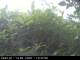 Presseggersee 14.06.2025 16:47