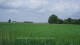 't Zandt 08.06.2025 16:58