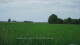 't Zandt 14.06.2025 16:58
