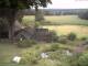 Schneverdingen 11.07.2025 16:47