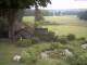 Schneverdingen 08.06.2025 16:47