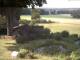 Schneverdingen 14.06.2025 16:47