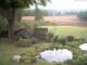 Schneverdingen 29.04.2025 16:47