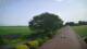Schwinge 08.06.2025 16:59