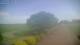 Schwinge 14.06.2025 16:58