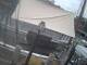 Boston, Massachusetts 14.06.2025 16:59