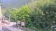 Saint-Jean-Saint-Nicolas 09.06.2025 16:59
