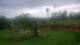 Powell, Ohio 08.06.2025 16:15