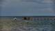 Bokeelia, Florida 14.06.2025 16:01