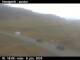 Hestgerði 08.06.2025 16:02