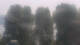 Lindau (Lake Constance) 30.04.2025 16:04