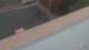 Colorado Springs, Colorado 30.04.2025 16:19