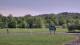 Nashville, Indiana 08.06.2025 16:19