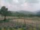 Cantalupo Ligure 08.06.2025 16:04
