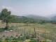 Cantalupo Ligure 14.06.2025 16:04