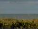 Cape Canaveral, Florida 16.05.2025 16:47