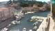 Veli Lošinj 25.05.2025 16:05