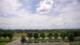 Bentonville, Arkansas 01.07.2025 16:23