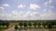 Bentonville, Arkansas 03.07.2025 16:23