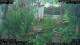Nakhon Ratchasima (Korat) 30.04.2025 16:47