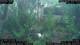 Nakhon Ratchasima (Korat) 09.06.2025 16:47