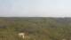 Moliets-et-Maa 08.06.2025 16:06