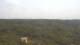 Moliets-et-Maa 09.06.2025 16:06