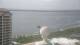 Gulf Breeze, Florida 14.06.2025 16:28