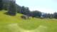 La Norma 09.07.2025 16:06