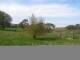 Dartmoor 30.04.2025 16:47