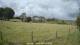 Dartmoor 15.05.2025 16:47