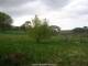 Dartmoor 29.04.2025 16:47