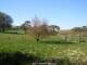 Dartmoor 29.04.2025 16:47